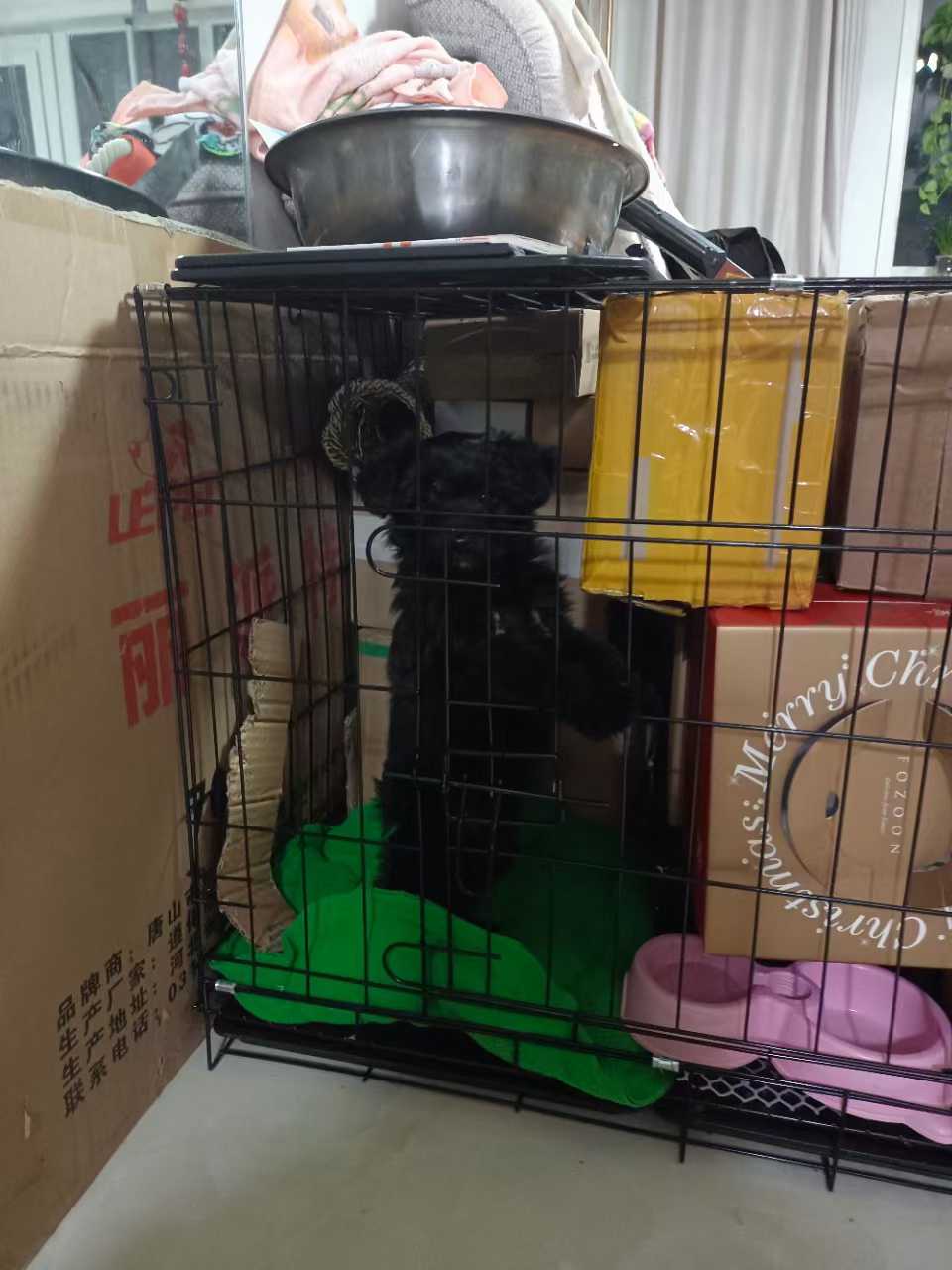 图片