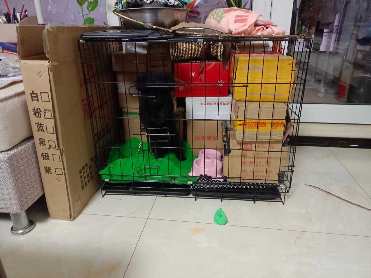 图片